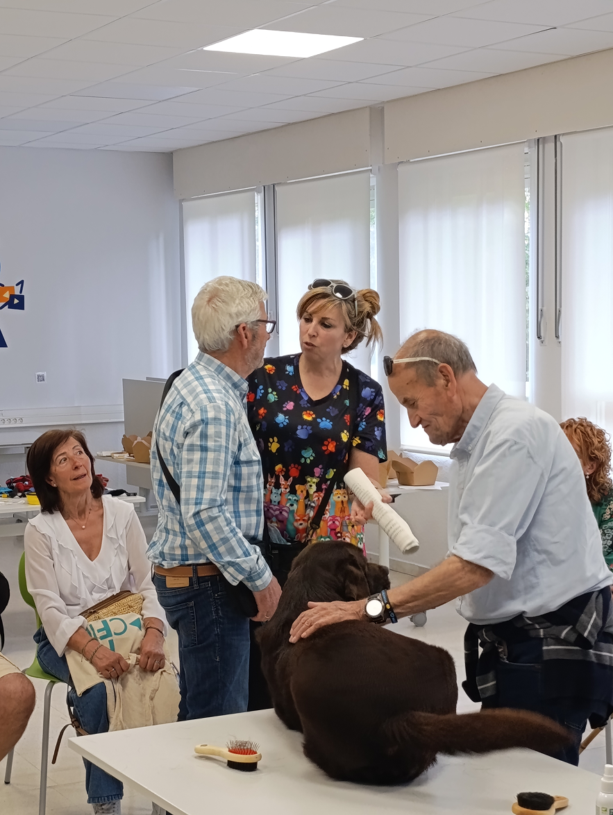 IMG_20260603_194719 1