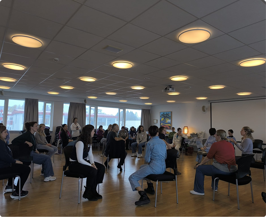 islandia carrusel 1-11