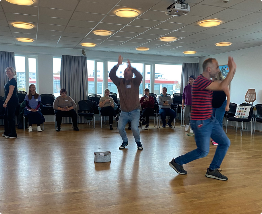 islandia carrusel 1-12