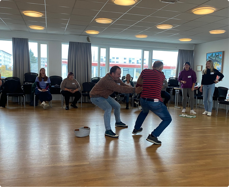 islandia carrusel 1-6